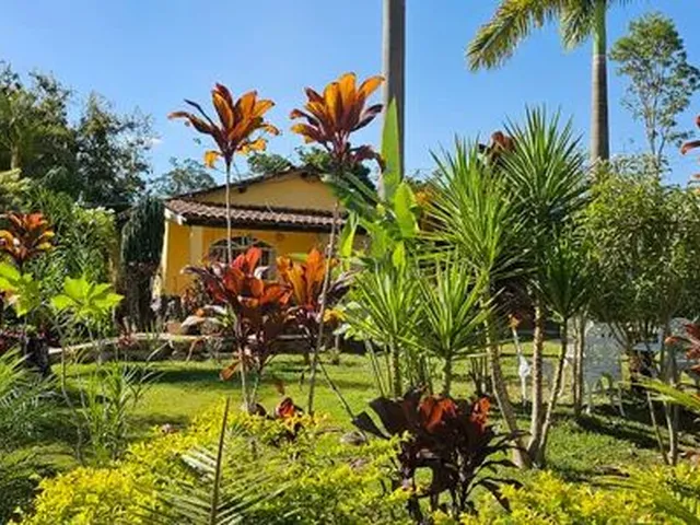 Imagem: Fazenda/Sítio/Chácara para Venda Possui