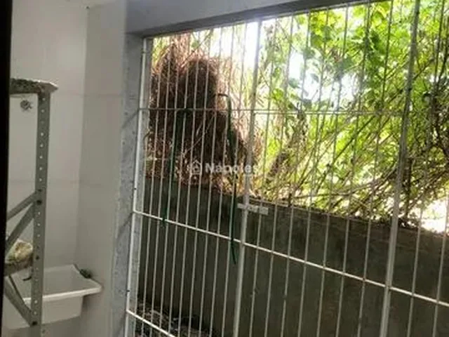 Imagem 6: Casa de 2 Dormitórios para Alugar no Campeche