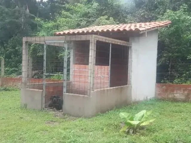 Imagem 4: Vendo Ou Alugo Sitio a 18Km de Timon com 2 Casas - 1 Hectare