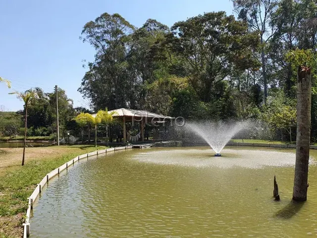 Imagem: Sítio - Vila Nova - Amparo