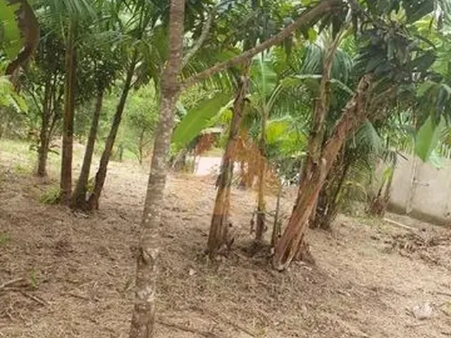 Imagem 5: Bicuda Pequena Terreno / lote com venda por R$100.000
