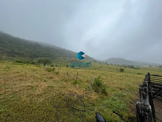 Imagem: Fazenda Rural em Feira de Santana - Ba