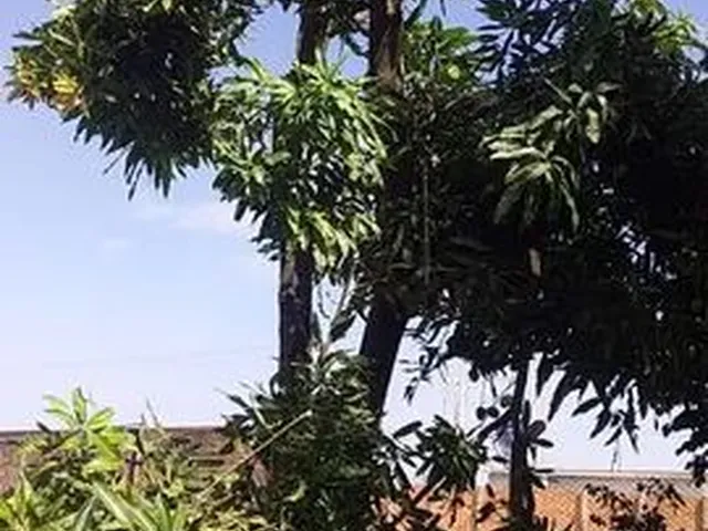 Imagem: Vendo Casa Parcelada 75Mil