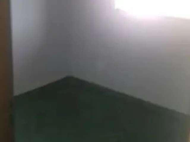 Imagem 7: Aluga-Se Casa no Bairro São Francisco