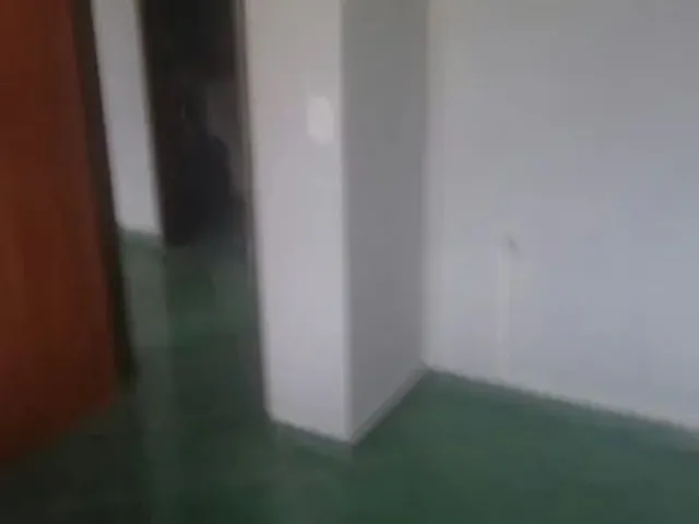 Imagem 12: Aluga-Se Casa no Bairro São Francisco