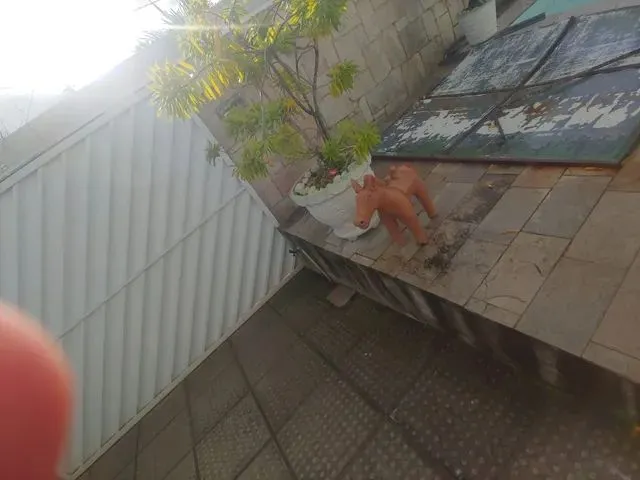 Imagem 7: Casa em Afogados Ótima Localização