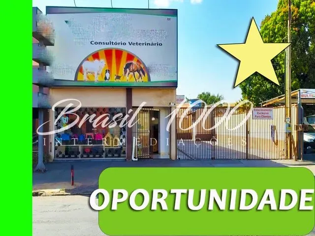 Imagem: Pet Shop Amp Amp Amp Clinica em Cassilândia