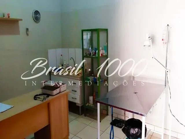 Imagem 7: Pet Shop &Amp;Amp;Amp; Clinica em Cassilândia, Ms. (Cod. 105549