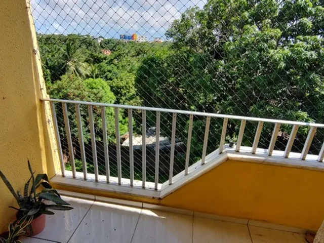 Imagem 5: Apartamento 3 Quartos no Cohafuma
