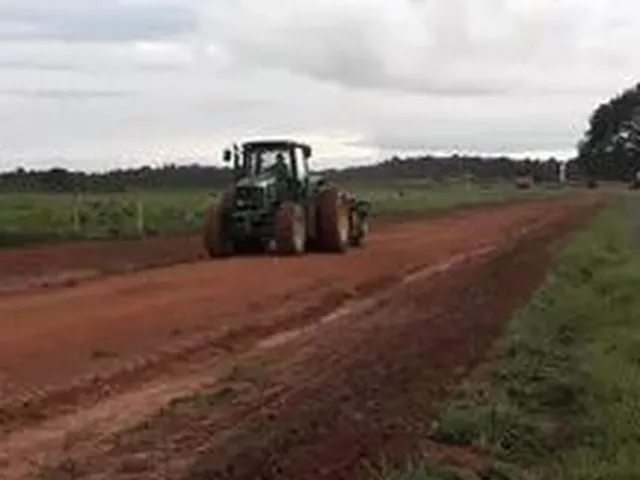 Imagem: Fazenda 915 Alq 600 Alq de Pasto Planta