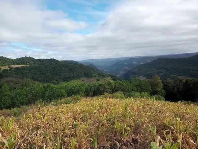 Imagem: Sítio 5 Hectares com Vísta Panorâmica