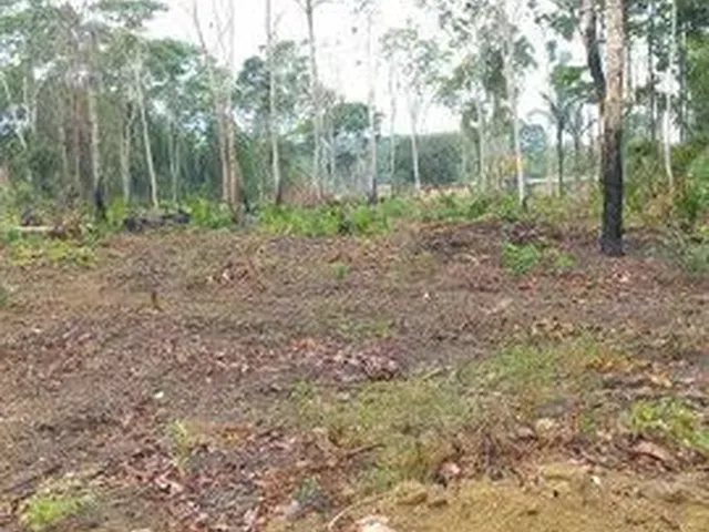 Imagem: Casa para Venda Tem 210 Metros Quadrados