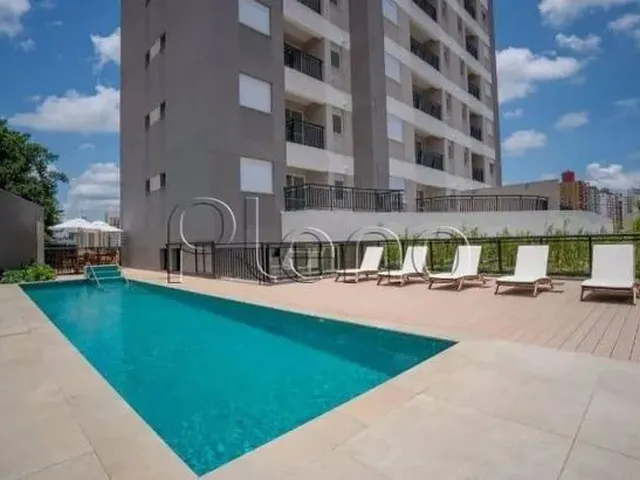 Imagem: Apartamento - Taquaral - Campinas