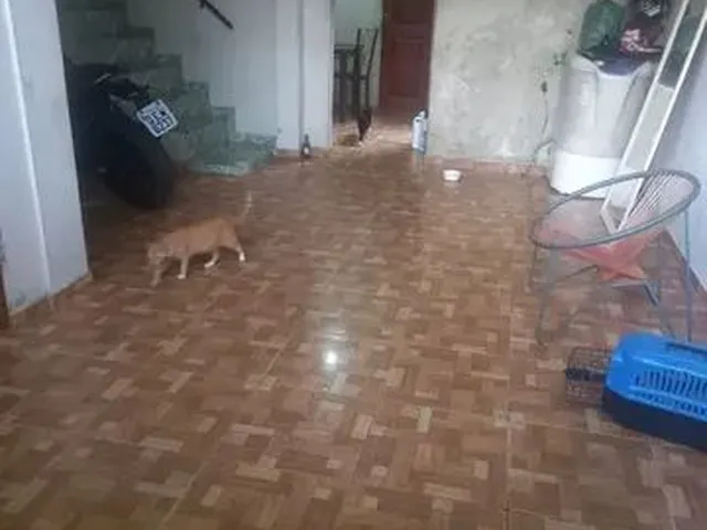 Imagem 5: Casa Próx.sgoping Grão para Conj.catalina