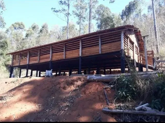Imagem: Oportunidade Ótima Fazenda de Eucalipto