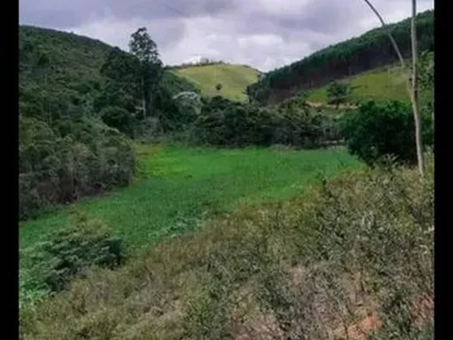 Imagem 4: Oportunidade: Ótima Fazenda de Eucalipto