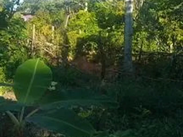 Imagem: Vendo Terreno em Imbassai (Linha Verde