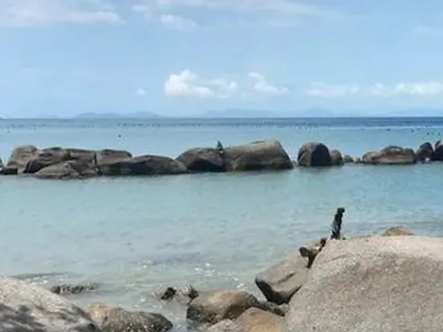 Imagem: Casa em Zimbros - Bombinhas