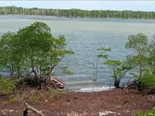 Imagem: Vendo Um Terreno Beiramar e Outro com Ponto