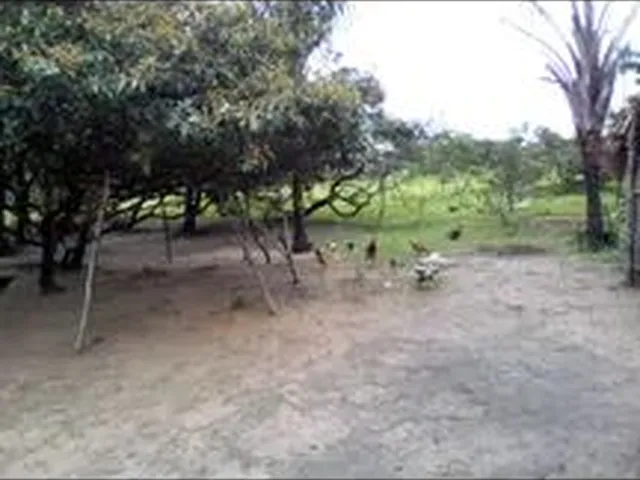 Imagem 4: Vendo Um Terreno Beiramar e Outro com Ponto Comercial