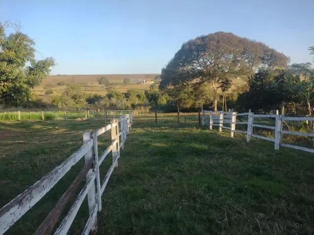 Imagem: Sitio em Tanabi 4 Alqueires Top Demais Valor