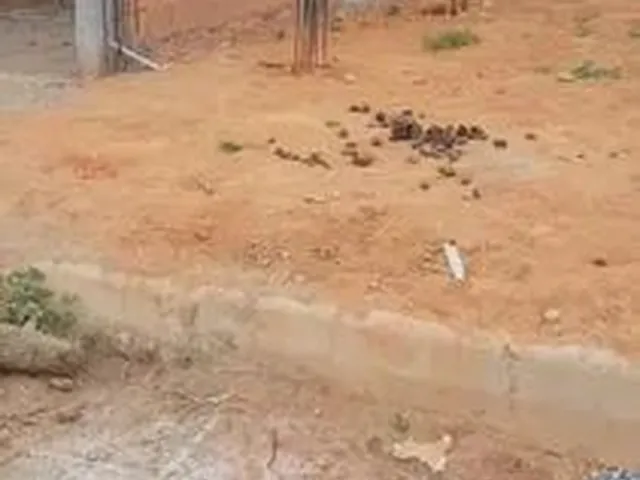 Imagem: Vendo Terreno no Parque dos Ipês