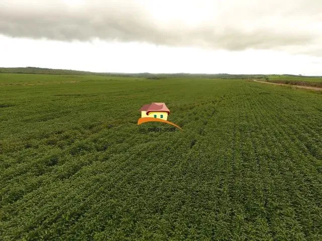 Imagem: Fazenda para Venda, Região Produtora Consolidada