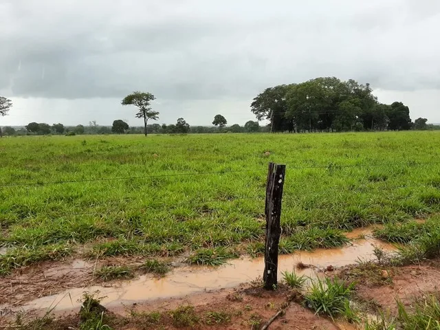 Imagem: Vende Se Fazenda 217 Alq. Mundo Novo - Go