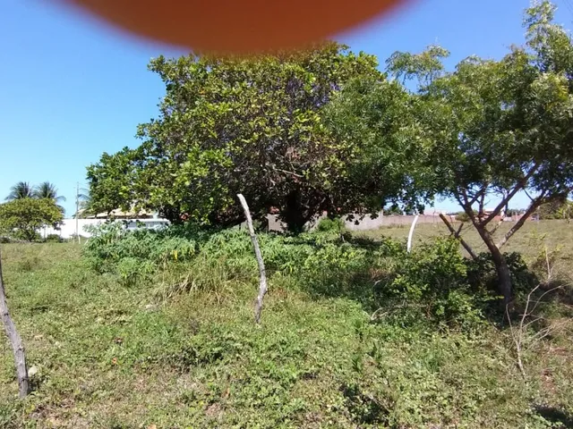 Imagem: Lote Terreno Povoado Areia Branca Proximo
