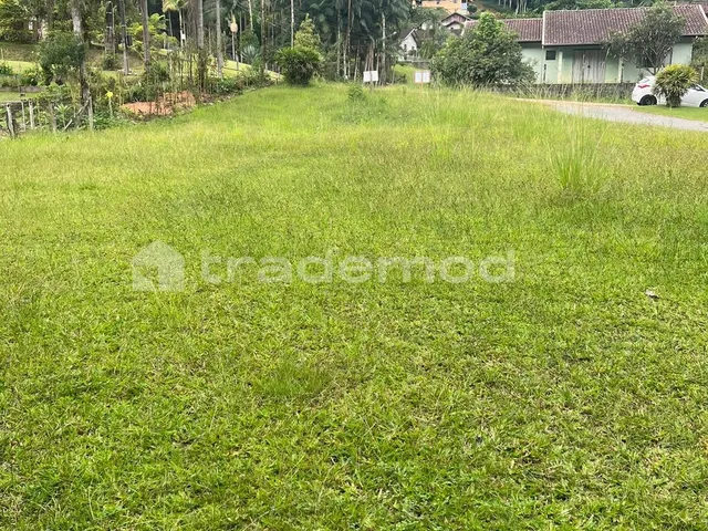 Imagem: 653M² de Área Total na Rua Ribeirão Areia
