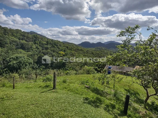 Imagem: 37680M² de Área Total na Estrada Alfredo