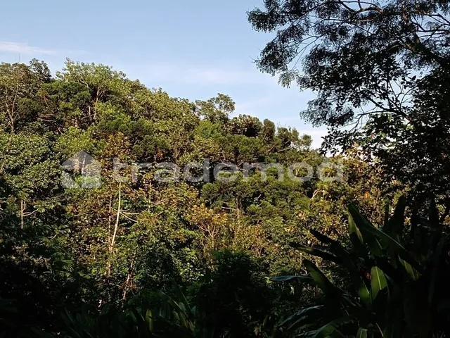 Imagem: 22500M² de Área Total na Estrada Hermult