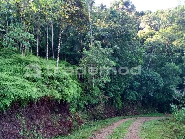 Imagem 5: 33500M² de Área Total na Estrada Hermult Tribess