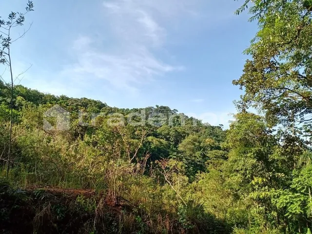 Imagem 15: 33500M² de Área Total na Estrada Hermult Tribess