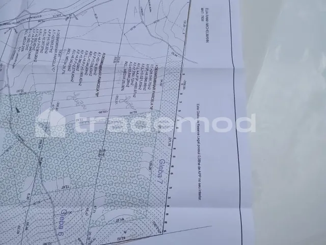 Imagem 4: 33500M² de Área Total na Estrada Hermult Tribess