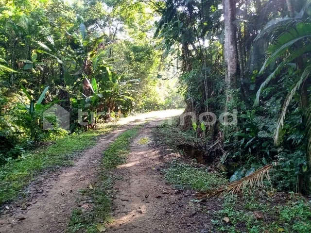 Imagem 11: 33500M² de Área Total na Estrada Hermult Tribess