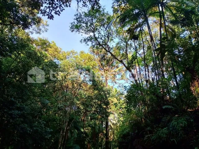 Imagem 6: 33500M² de Área Total na Estrada Hermult Tribess