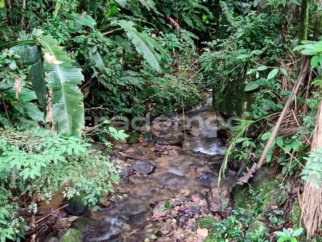 Imagem 10: 33500M² de Área Total na Estrada Hermult Tribess