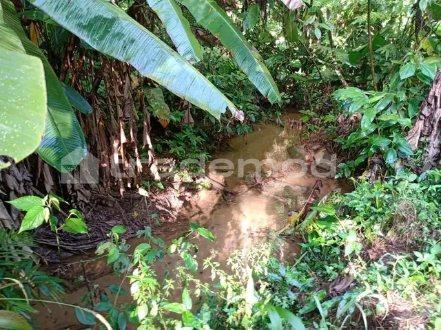 Imagem 3: 33500M² de Área Total na Estrada Hermult Tribess