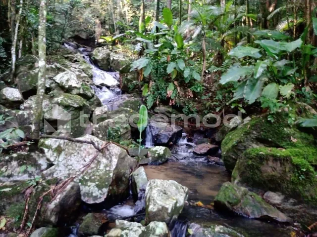 Imagem 13: 33500M² de Área Total na Estrada Hermult Tribess