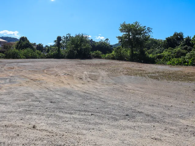 Imagem: 5398M² de Área Total na Rua Artur Reinert