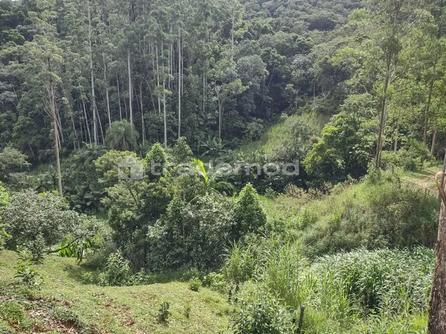 Imagem: 47000M² de Área Total na Rua Doutor Wunderwald