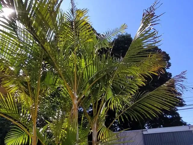 Imagem: Casa a Venda Jardim Panorama Sarandi