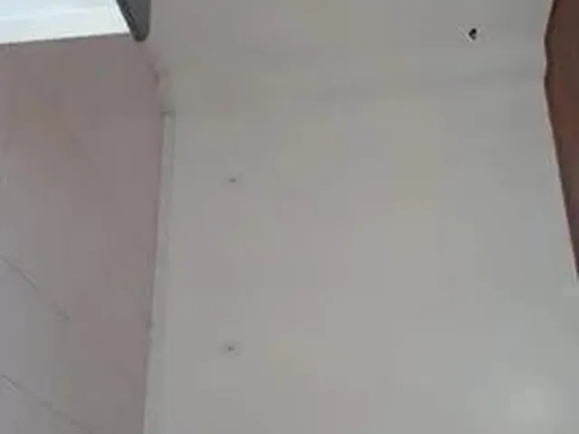 Imagem 4: Alugo Apto Apartamento com 1 dormitório
