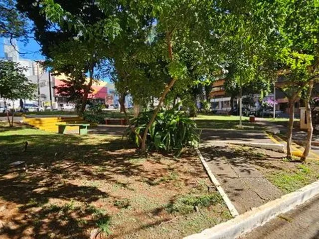 Imagem 10: Londrina - Kitchenette/Conjugados - Centro
