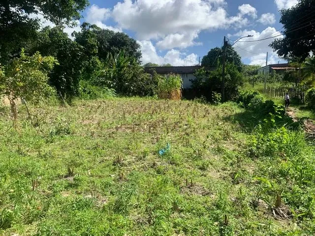 Imagem: Lote Terrreno Enseada dos Corais 400 Mq
