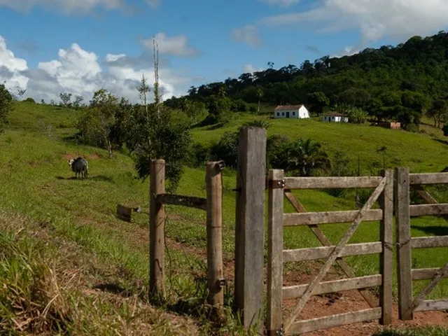Imagem: Imóvel Rural a Venda em Iguai-Ba 95 Hect