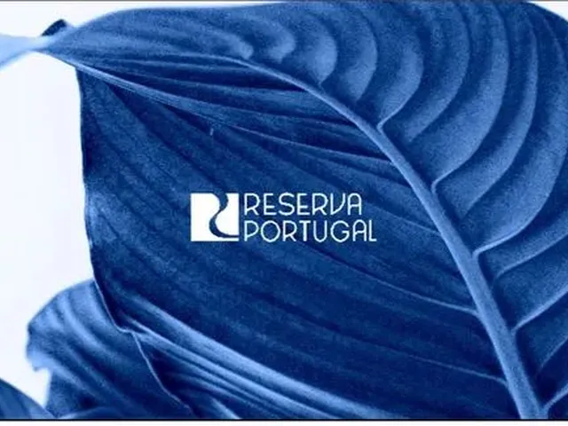 Imagem: Repasse Reserva Portugal para Venda Possui