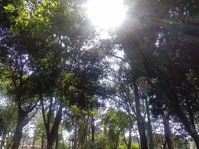 Imagem: Alugo Casa com 4 Quartos Jd. Tabaete