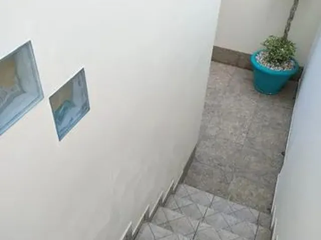 Imagem 2: Aluguel Apartamento Ribeirão da Ilha